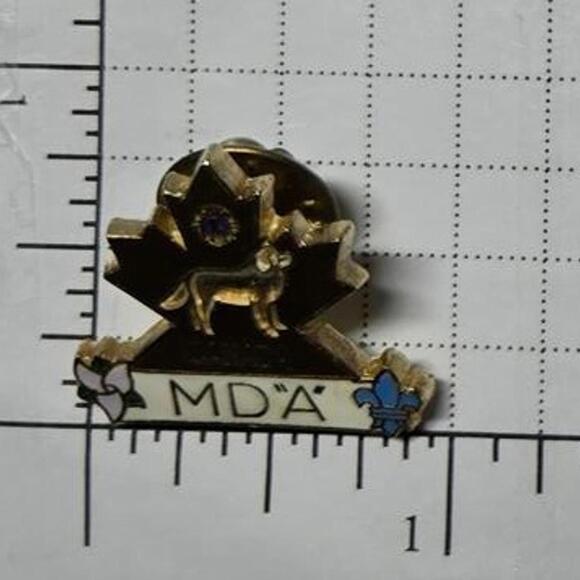 Pin / Vintage Lions Club International / 1.5" / Multiple District "A" (MDA) - Picture 3 of 3